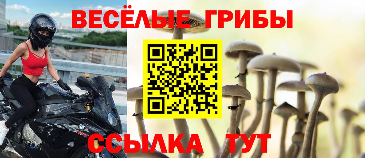 Заречный  Псилоцибиновые грибы Psilocybe  Вход с VPN 